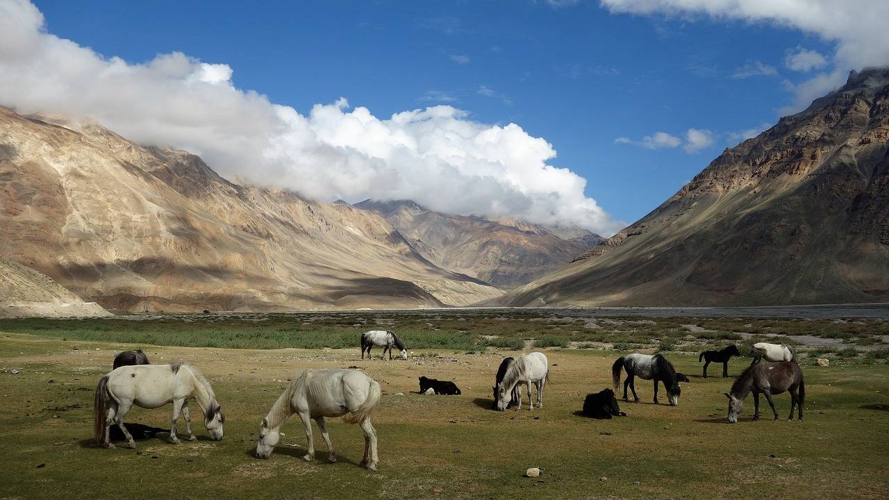 Spiti Valley Roat Trip 9N & 10 D