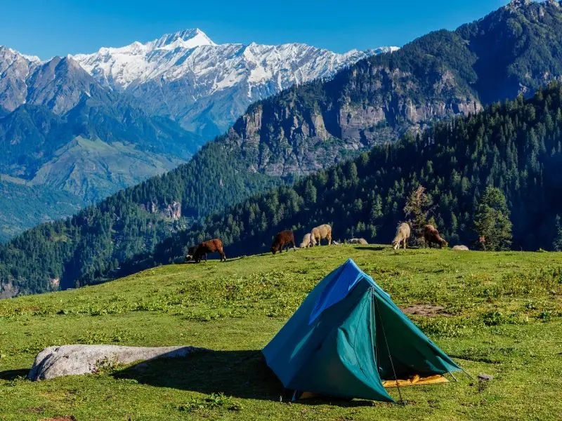Manali Tour Package with Kasol