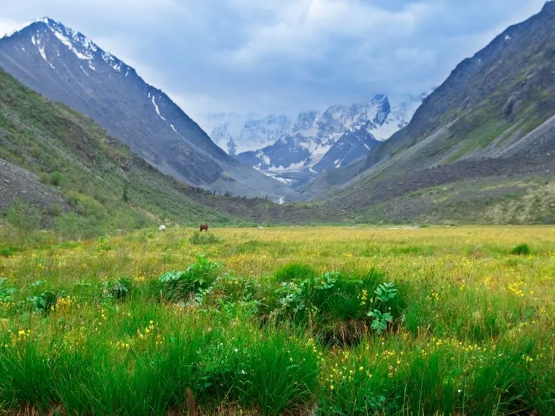 Shimla Manali Dharamshala & Dalhousie Tour Package