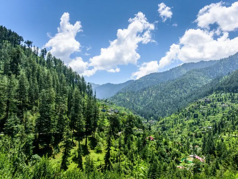 Shimla Manali Dharamshala Dalhousie & Amritsar Tour Package